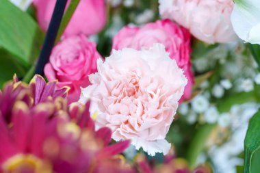 Renkli çiçekler sahneyi çeşitli pembe ve beyaz tonlarıyla doldurur. Anlaşmada güller ve yeşillikler bir araya getirilmiş papatyalar da yer alıyor. Bahar için canlı bir atmosfer yaratıyor..