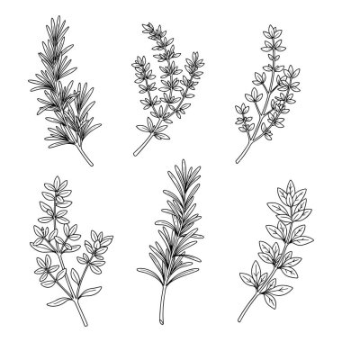 Vektör elle çizilmiş çiçek kümesi