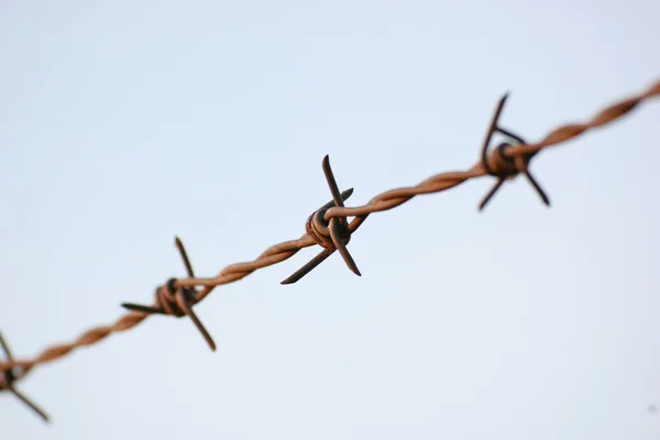 Barbed wire in evening sun — Stock Photo, Image