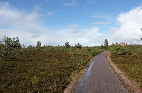 Terre brughiere oltre a Kungsleden — Foto Stock