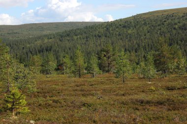 Heathlands yanı sıra Kungsleden