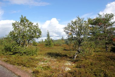 Heathlands yanı sıra Kungsleden