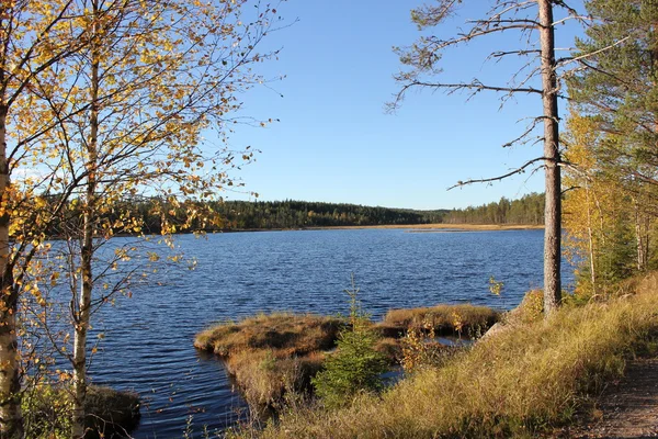 İsveçli bir göl manzarası — Stok fotoğraf