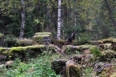 Doğa yerini geri alır.