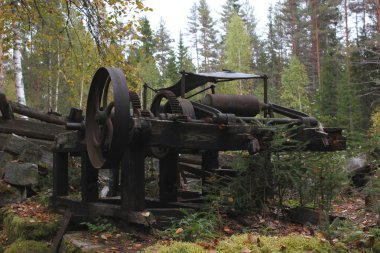 Doğa yerini geri alır.
