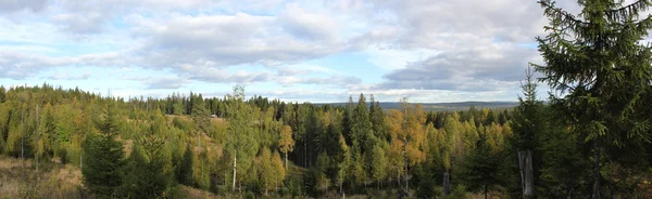 Panoramiczny widok z góry w Varmland — Zdjęcie stockowe