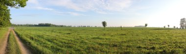 Anklam yakınındaki kırsal manzara panoramik manzaralı