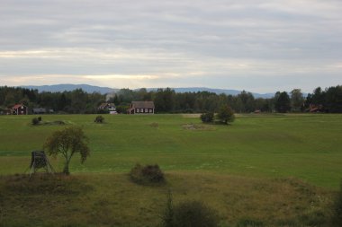 Dalarna manzarada çayır