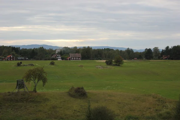 Krajobraz Meadow w regionie Dalarna — Zdjęcie stockowe