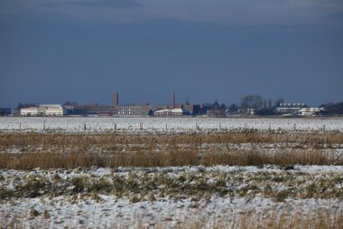 Güneyden gördün Riemser Pharma bitki