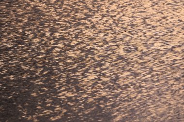 Günbatımı altın düşünceler sakinleştirmek bir göl üzerinde