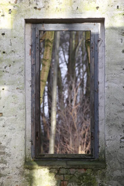 Kijk door het venster — Stockfoto