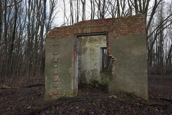 Olhe através dos restos de uma casa arruinada na floresta — Fotografia de Stock
