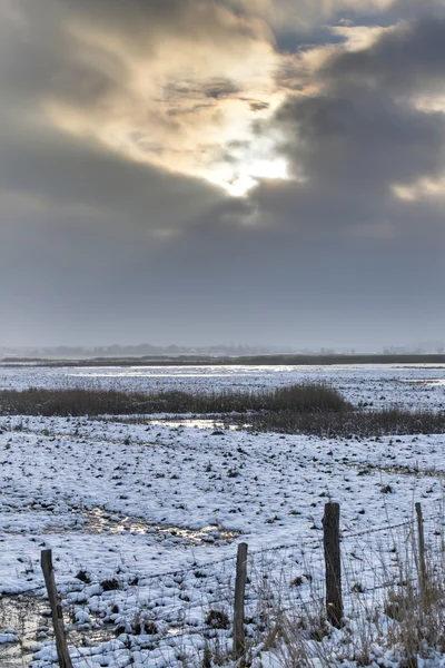 Karrendorfer wiesen im winter hdr — Stockfoto