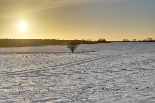 Warme Winterlandschaft — Stockfoto