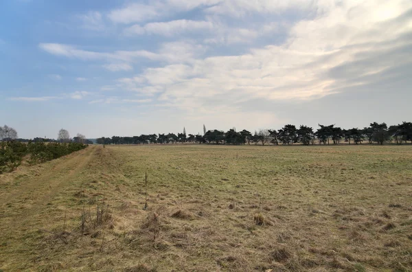 Meadow Near Lostau HDR — Stock Photo, Image