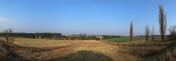 Łąka w pobliżu Lostau Panorama — Zdjęcie stockowe