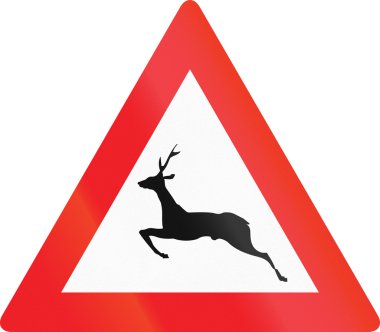 Wild Animals Crossing in Austria