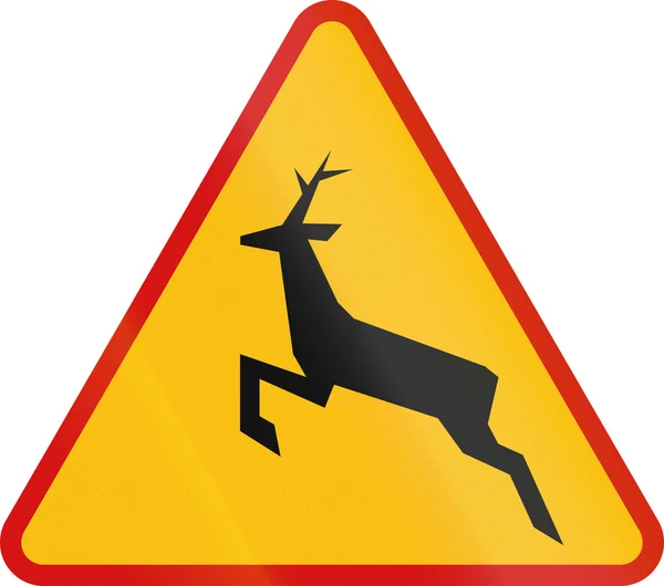 Wild Animals Crossing in Poland — Φωτογραφία Αρχείου