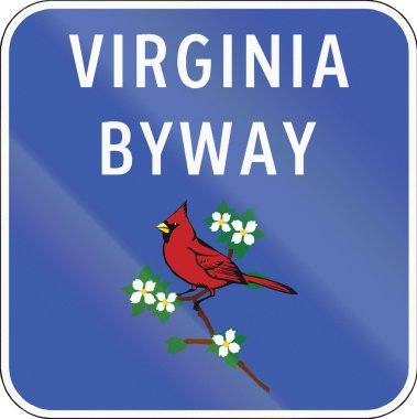 Virginia doğal dolaşık yol