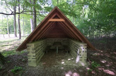 Bir kayın ormanı sığınmak yürüyüşçü