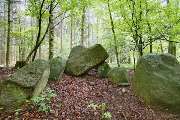 Tomba megalitica Forst Poggendorf — Foto Stock