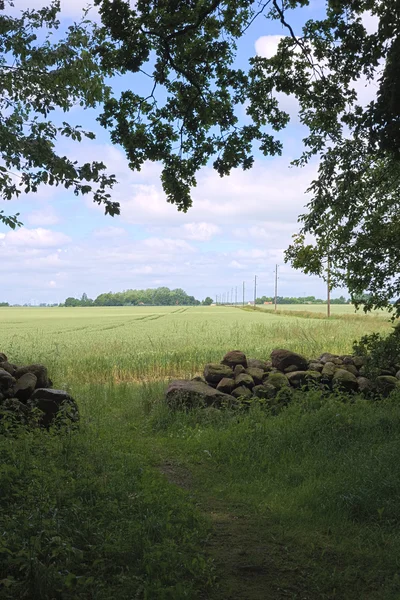 Vista desde Forst Poggendorf — Foto de Stock