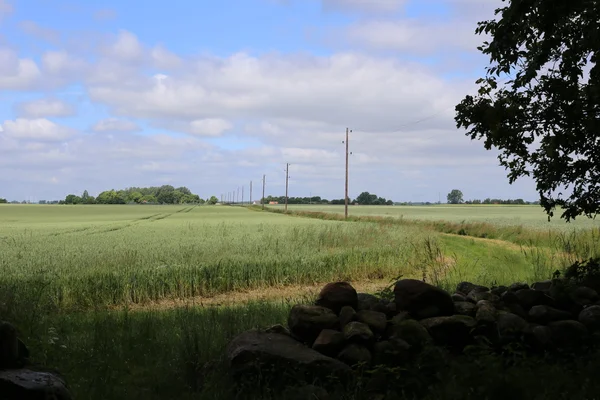 Widok z Forst Poggendorf — Zdjęcie stockowe