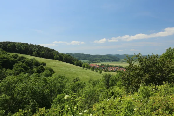 Zicht op Lauchroeden In Thüringen — Stockfoto