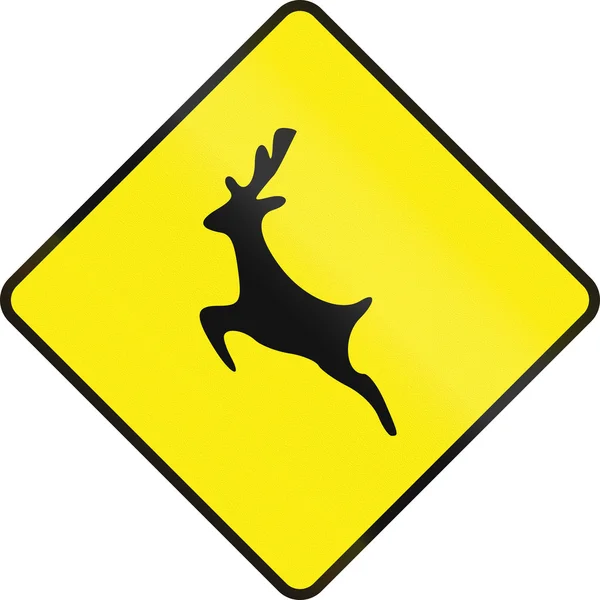 Deer Crossing In Ireland — Stock Photo, Image