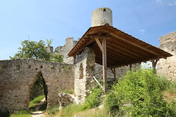 Château intérieur Ruine Brandebourg — Photo