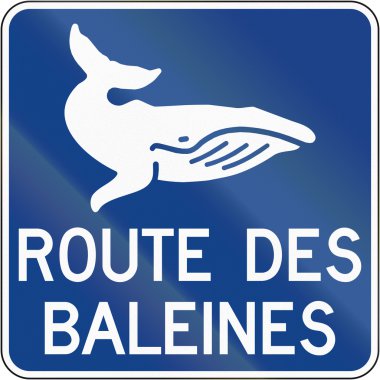 Balina rota Kanada