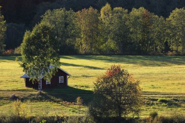 İsveç'te pastoral Hut