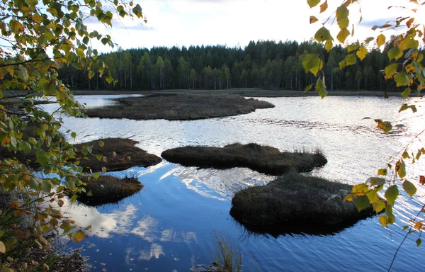 Jeziora, naprzeciwko lasu — Zdjęcie stockowe