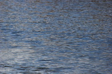 Yavaşça sakinleştirmek deniz