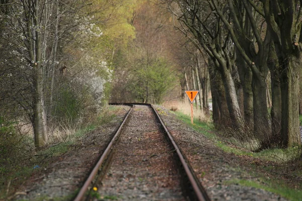 Железнодорожный путь с оранжевым — стоковое фото