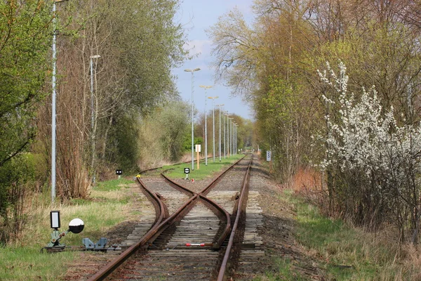 Railroad Track With A Switch — Stock Photo, Image