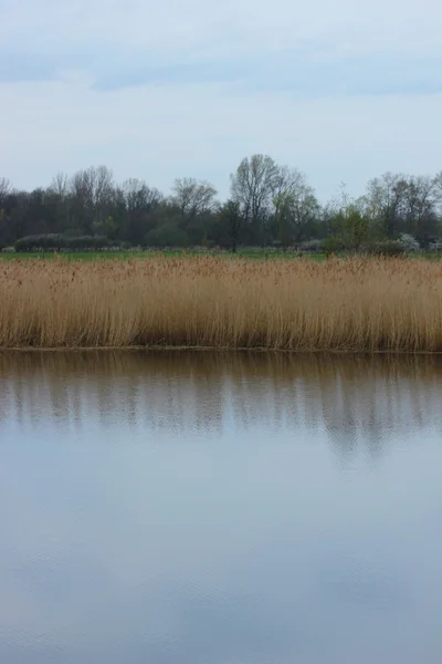 Uitzicht op de rivier de Ryck — Stockfoto