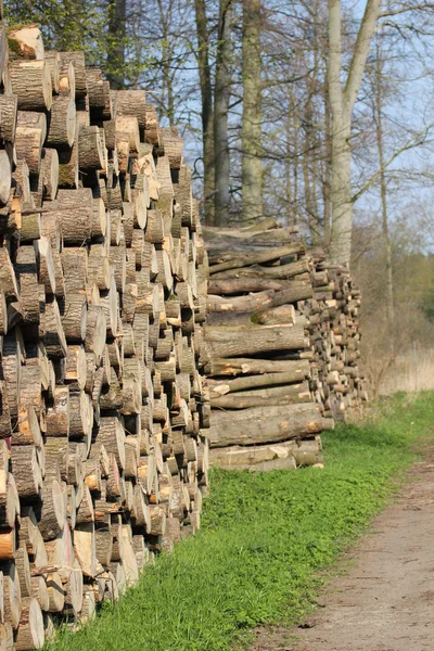 Holzstapel — Stockfoto