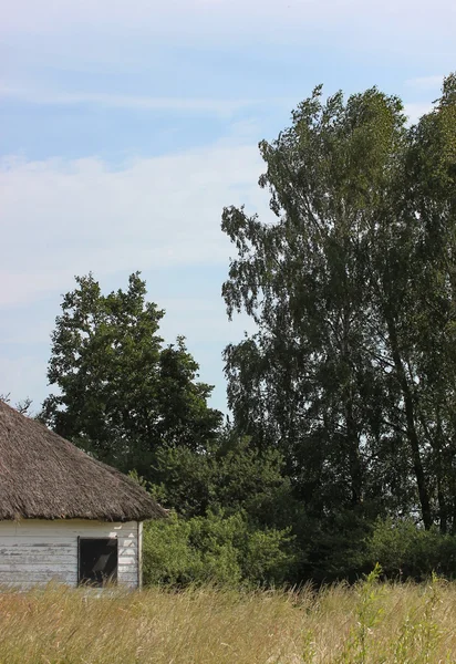 Verlassenes Schilfhaus — Stockfoto