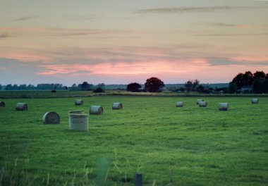 Bir çayır ile saman balya Greifswald yakınındaki görüntüleyin