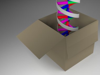 DNA kutusunda