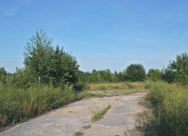 Mecklenburg-Vorpommern kırsal bir yolda bir görünümünü