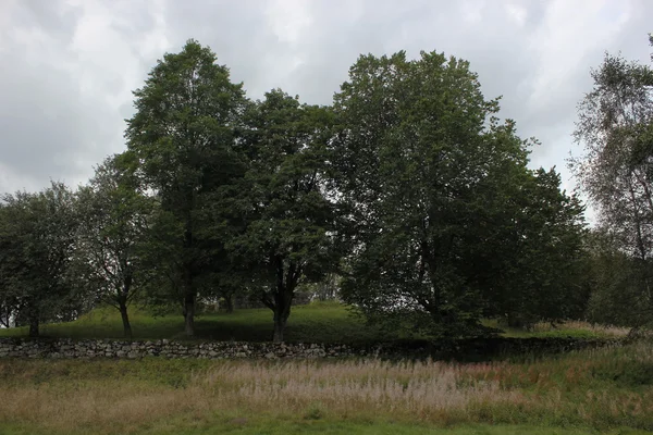 Kirchenruine in Hamneda — Stockfoto