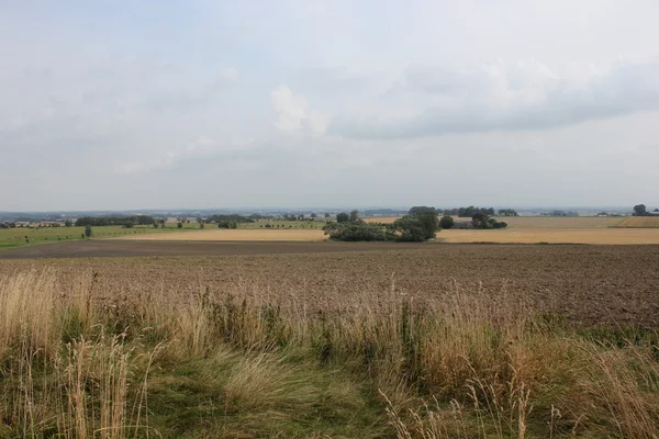 Agricultural Landscape In Sweden — Stock Photo, Image