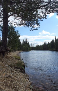 Yansımaları ile İsveçli Nehri
