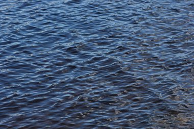 Göl üzerine düşünceler