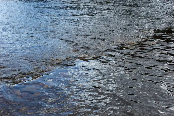 Refleksi Di Sungai Batu — Stok Foto