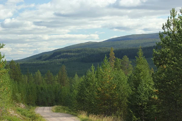 Schotterpiste in den schwedischen Bergen — Stockfoto