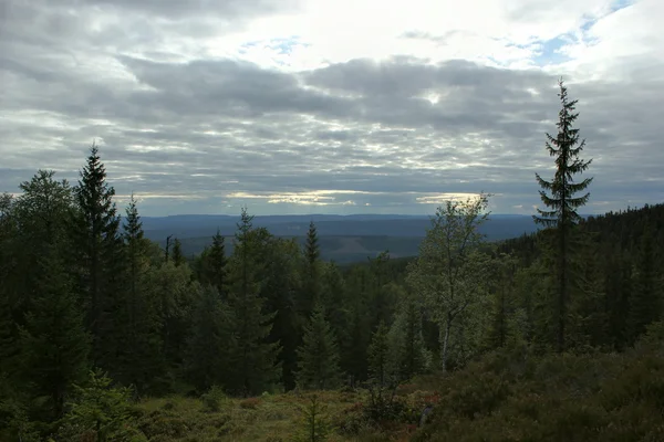 Vista da Haestskaeret — Foto Stock